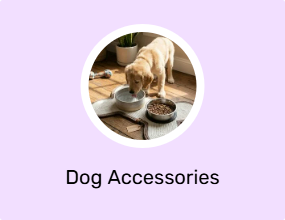 Dog Accessories