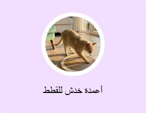 أعمدة خدش للقطط
