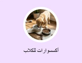 أكسسوارات للكلاب