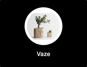 Vaze