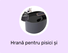 Hrană pentru pisici și recipiente pentru apă