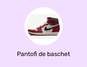 Pantofi de baschet
