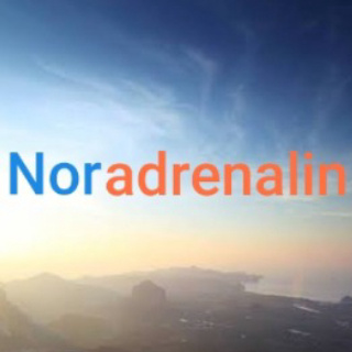 NORADRENALİN OUTDOOR logo