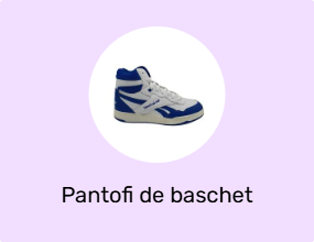 Pantofi de baschet