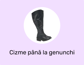 Cizme până la genunchi