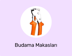 Budama Makasları