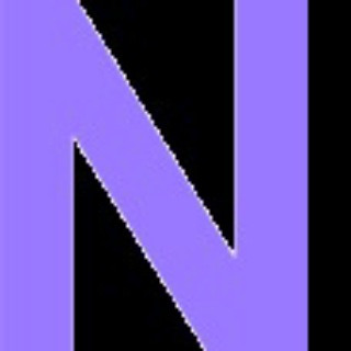 NetPar