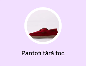 Pantofi fără toc