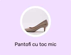 Pantofi cu toc mic