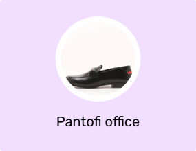 Pantofi office
