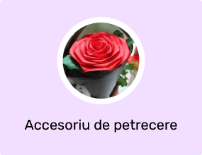 Accesoriu de petrecere