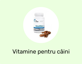 Vitamine pentru câini