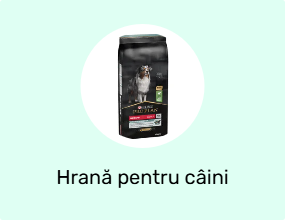 Hrană pentru câini