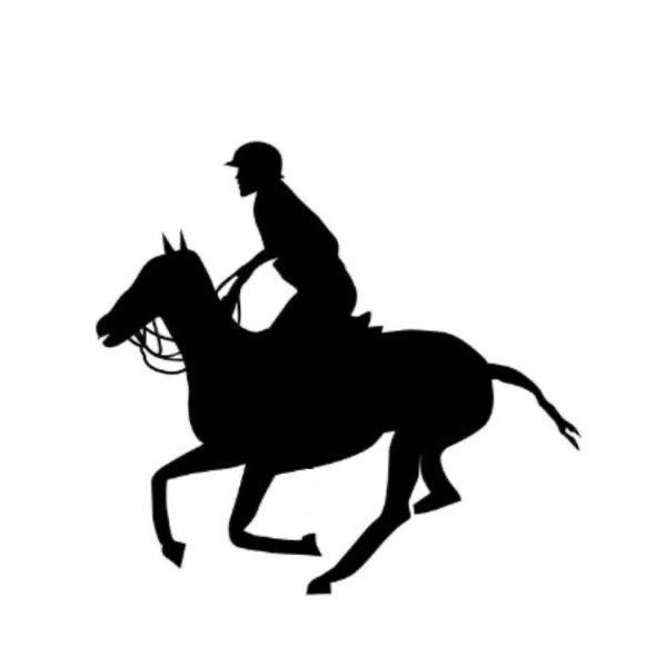 MULTI POLO