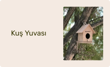 Kuş Yuvası