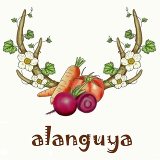 ALANGUYA GIDA logo