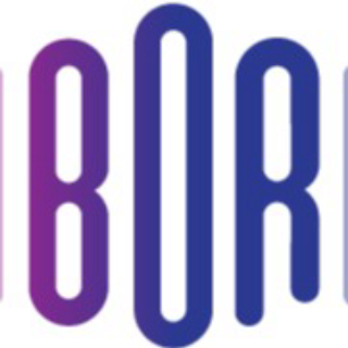 Bor Müzik Aletleri logo