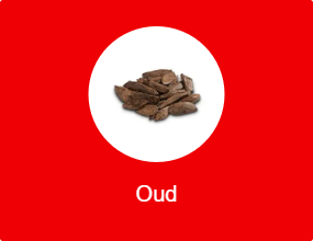 Oud