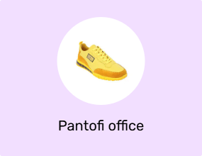 Pantofi office