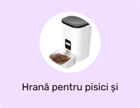 Hrană pentru pisici și recipiente pentru apă