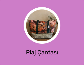 Plaj Çantası