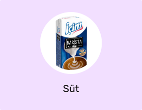 Süt