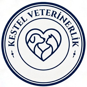 Kestel Veterinerlik