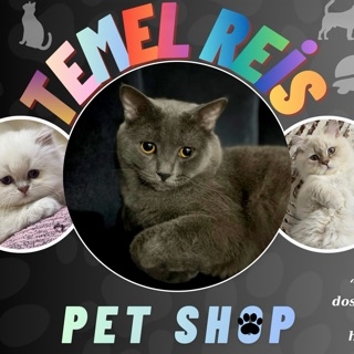 Temel Reis Pet Shop
