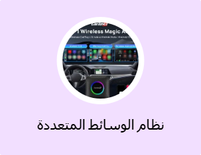 نظام الوسائط المتعددة والعرض