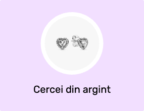 Cercei din argint