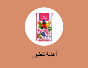 الغذاء الطيور
