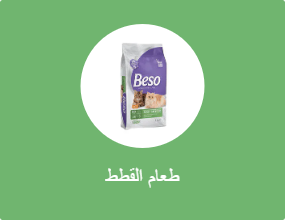 طعام القطة