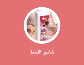 شامبو القطط