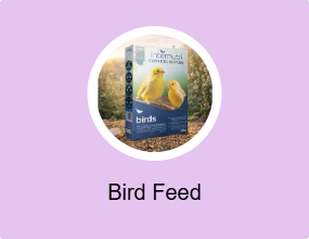 Bird Feed