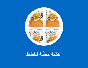 أطعمة معلبة للقطط