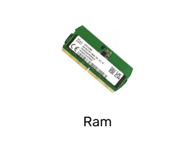 Ram