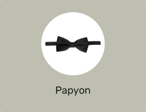 Papyon