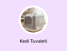 Kedi Tuvaleti
