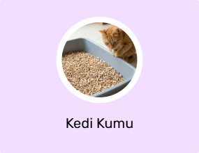 Kedi Kumu