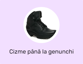 Cizme până la genunchi