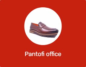 Pantofi office