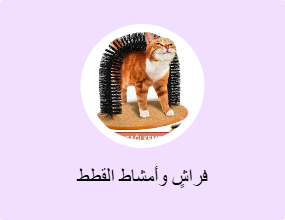 فراشٍ وأمشاط القطط