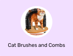 Cat Brushes and Combs
