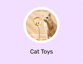 Cat Toys
