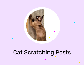 Cat Scratching Posts