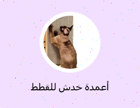 أعمدة خدش للقطط
