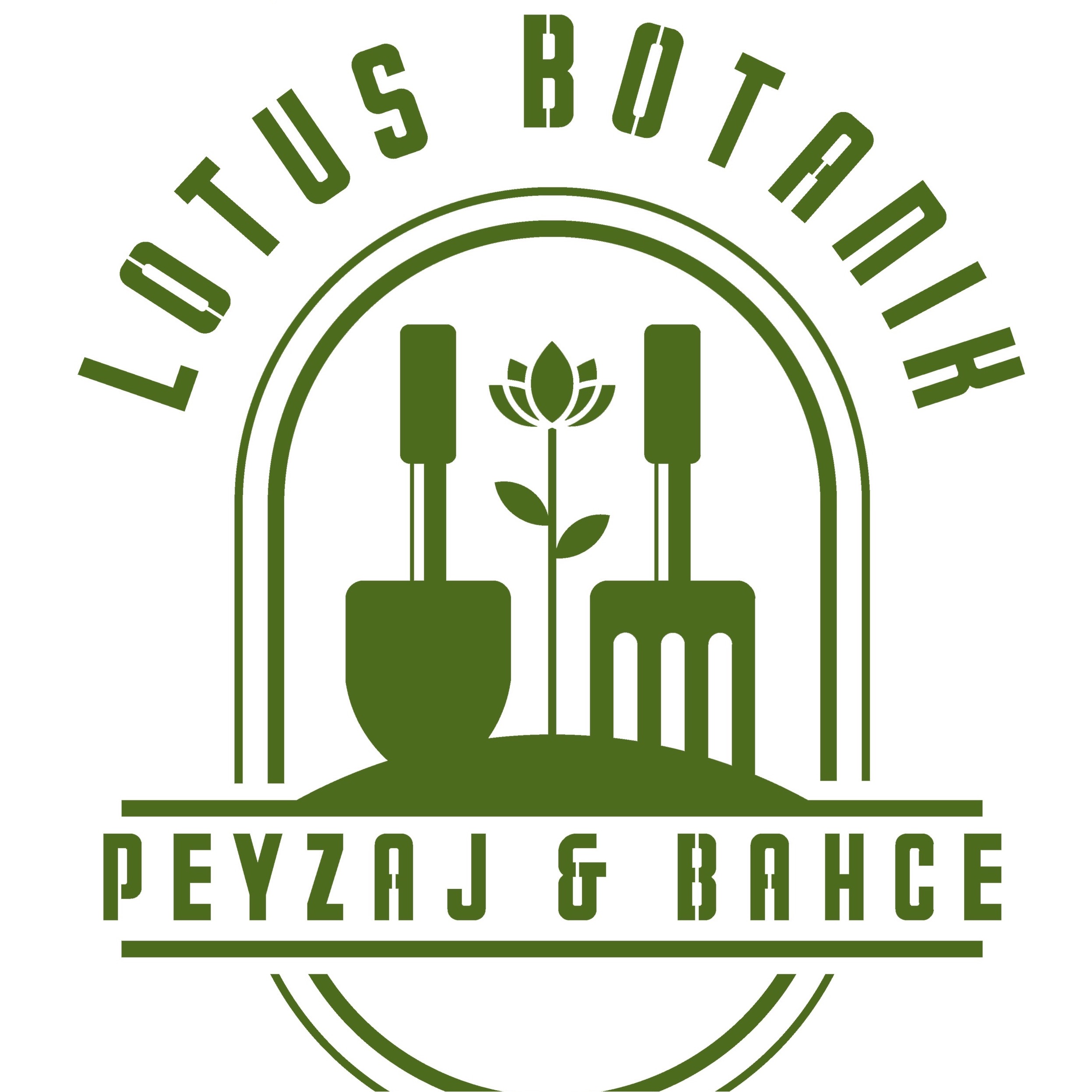 Lotus Botanik