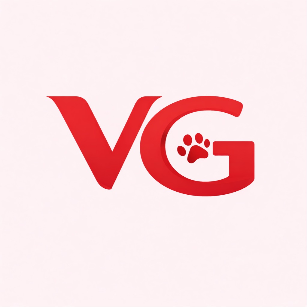 Vigi Store logo