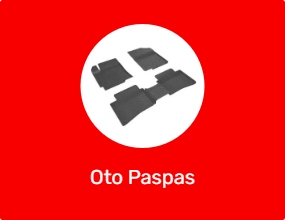 Oto Paspas