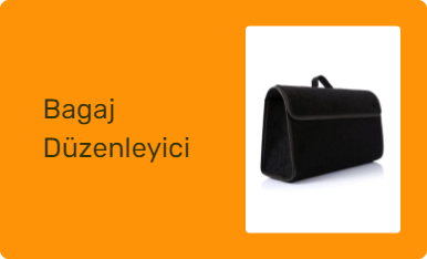 Bagaj Düzenleyici